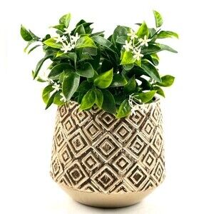 Gold and Brown distressed ceramic embossed diamond planter